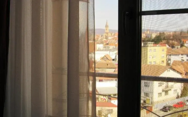 Carpathian Hotel Sibiu