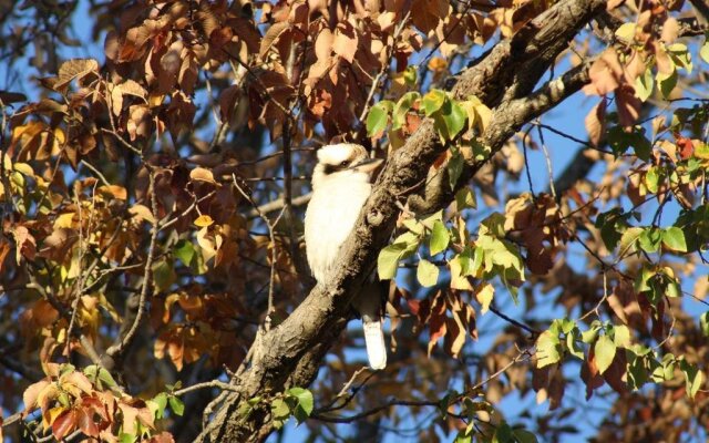 Tenterfield Motor Inn