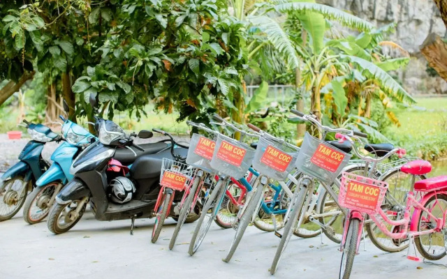 Tam Coc Luxury Homestay