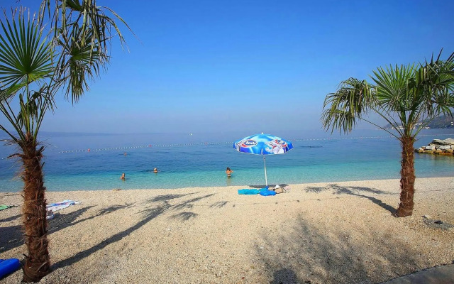 Urban City Apartment