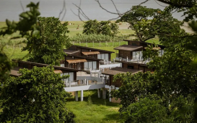 Rhino and River BluSalzz Collection, Guwahati - Assam