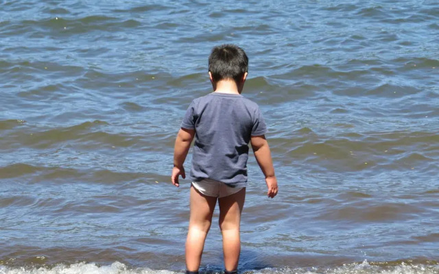 Cabaña Los Coigues 2308