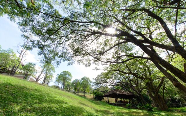 Rain Tree Khao Yai Hotel