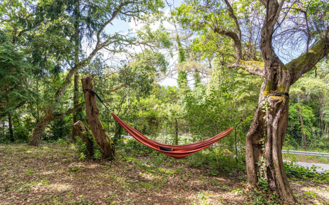 Quinta biológica, com vista, na Serra de Sintra