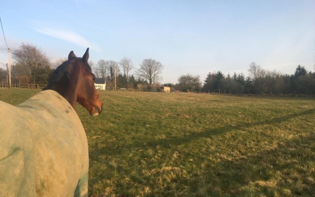 Brynllwyd Glamping