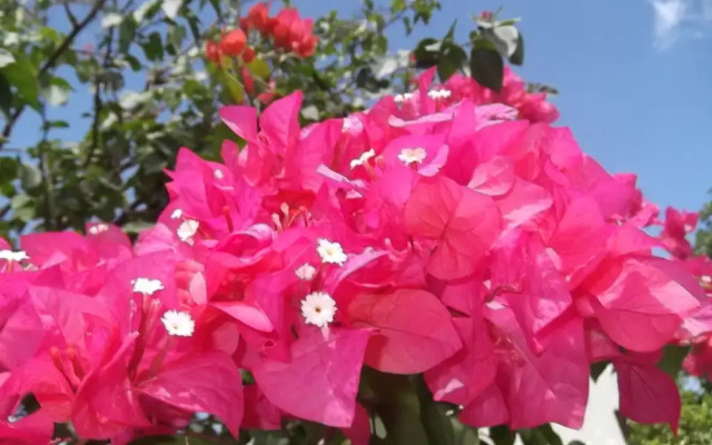 YOISAMA Sunrise Beach House