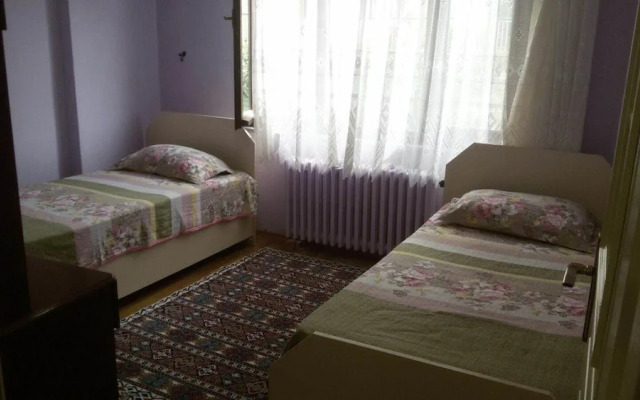 Cinaralti Apart