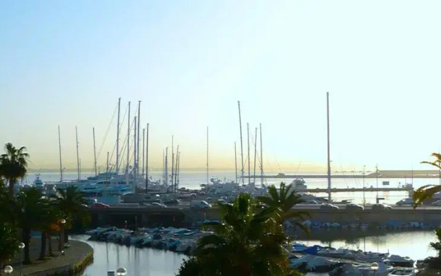 Palma Vista
