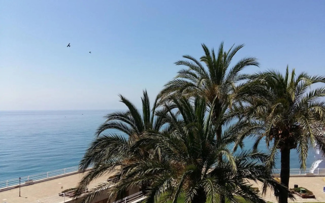 Estudio en 1ª Línea en Santa Clara