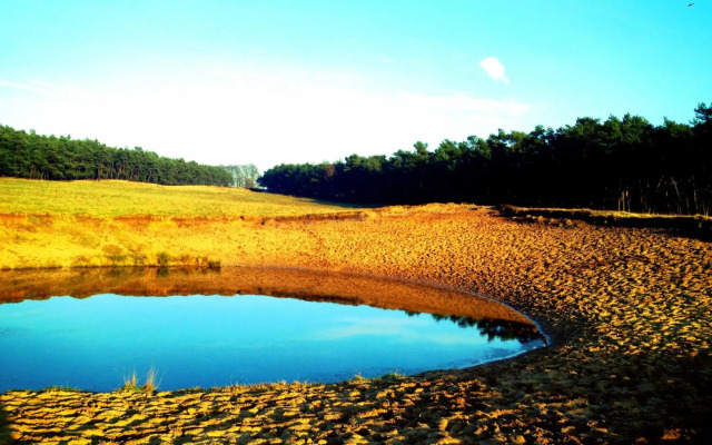 Wilde Moeflon, geniet van de vrije natuur!