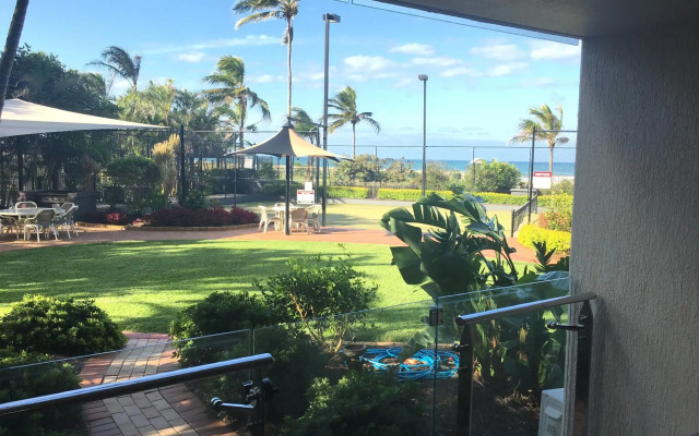 Princess Palm on the Beach