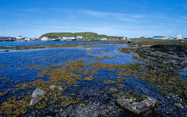 Burnt Cape Cabins