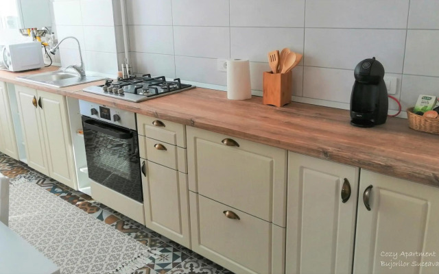 Cozy Apartment Bujorilor Suceava