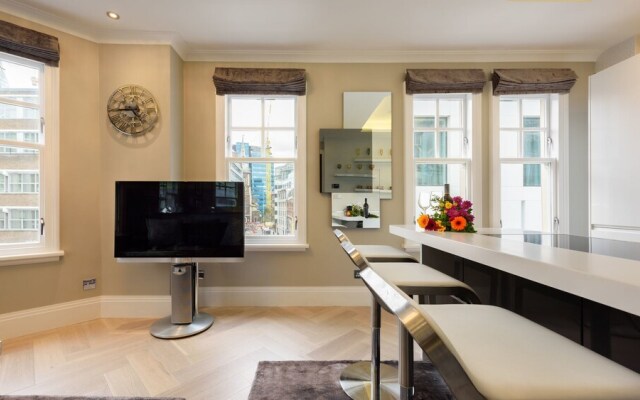 Luxury 1BR Tower Bridge London