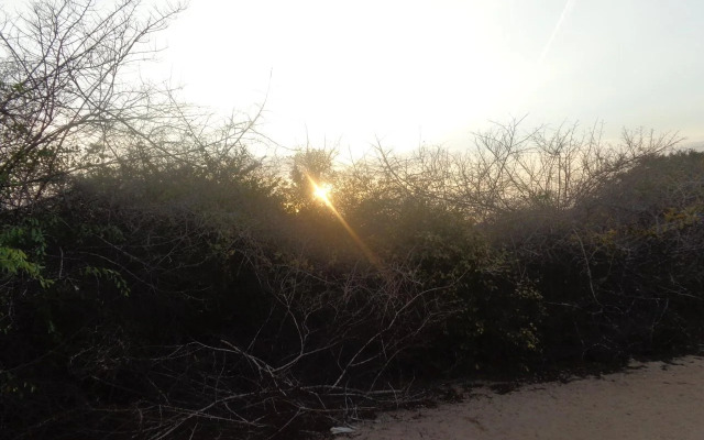 Yala Bear Safari Camp Tents