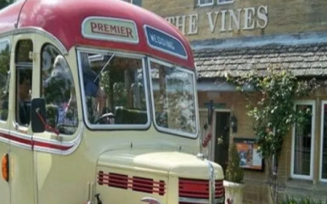 The Vines