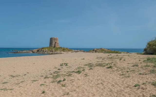 Surphinia Torre di Bari