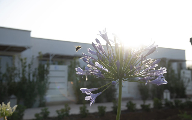 Livantea Agriresort E Residence