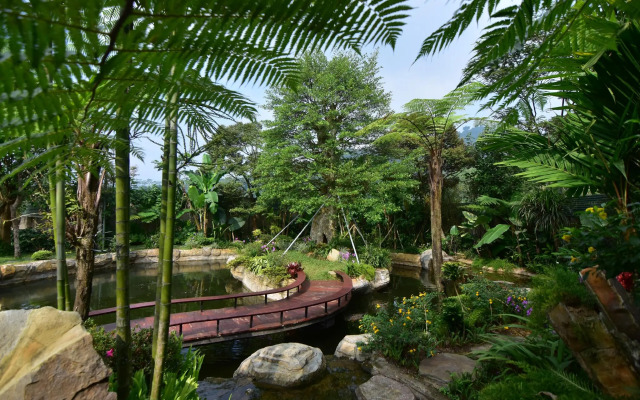 Sarga Earthing Resort