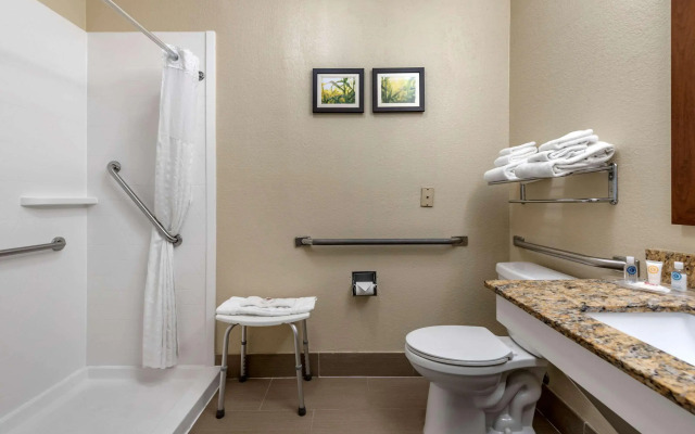 Comfort Suites Auburn near I-69