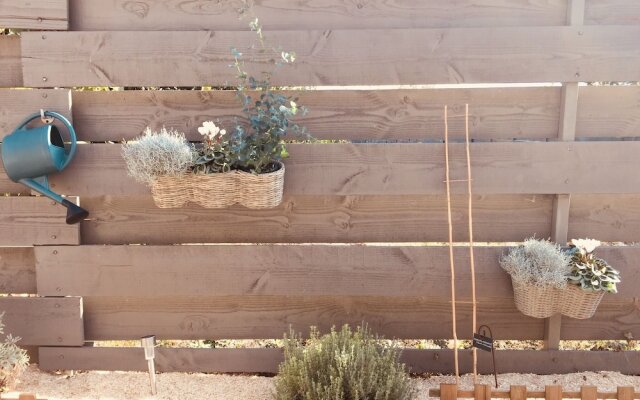 Un Figuier Dans Notre Jardin