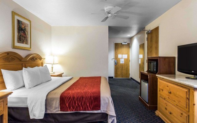 Comfort Inn & Suites Sequoia/Kings Canyon