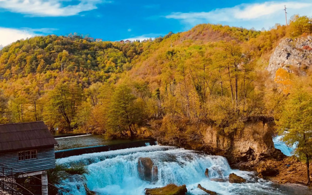 Kostelski Buk
