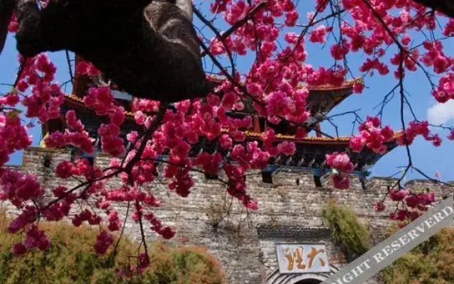 Mu,Spring