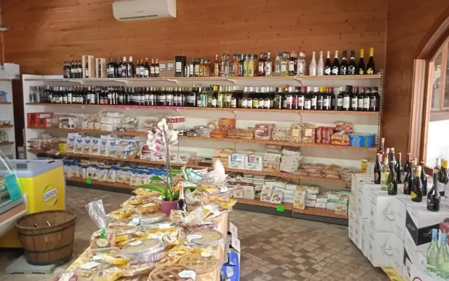 Campsite Chalet Zr28 Tuscany Near sea Viareggio
