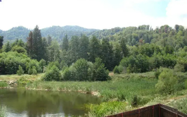 Dumbrava Soarelui
