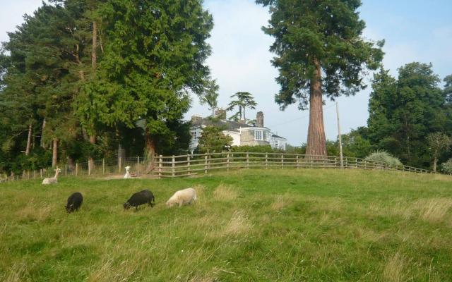 The Old Vicarage