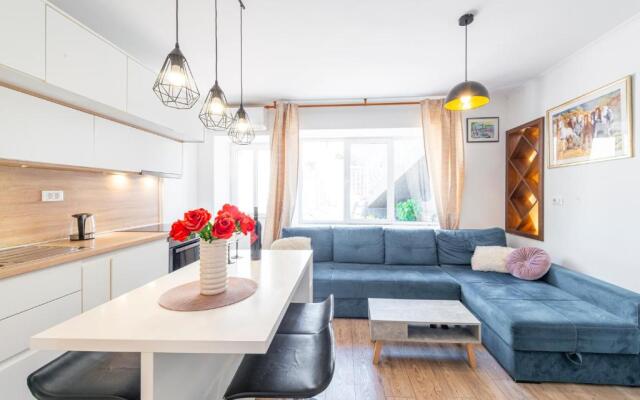 Modern studio apartment Lučić