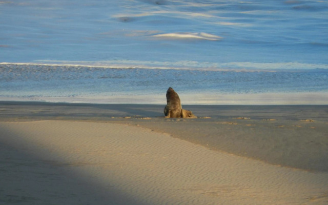 The Sparrow's Nest Beach-Front Self-catering