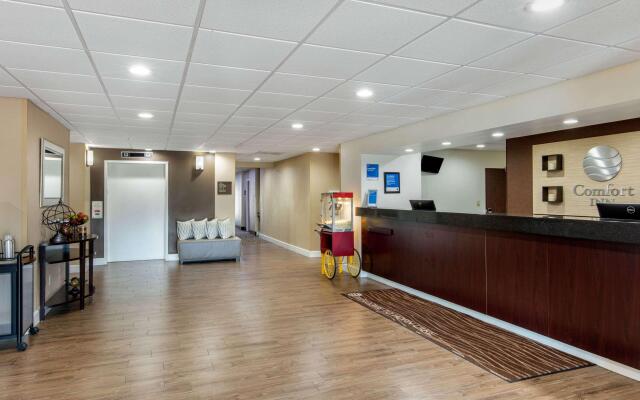 Comfort Inn Horn Lake - Southaven