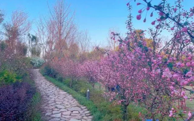 Grand New Century Nanshan Heyuan Hot Spring Resort