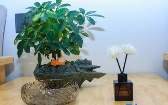 Junlai Mountain Lodge