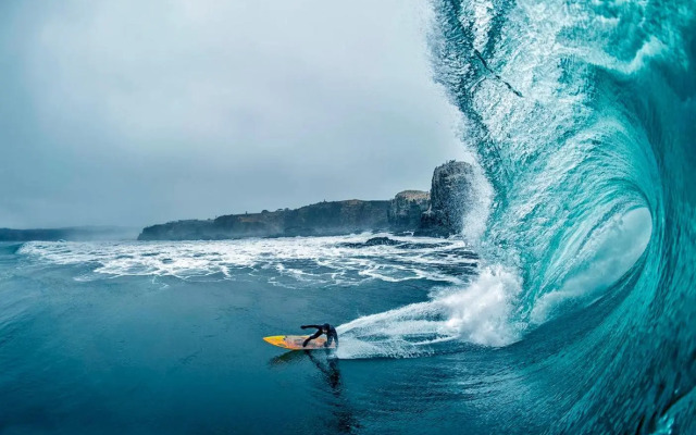 Cabañas Punta de Lobos