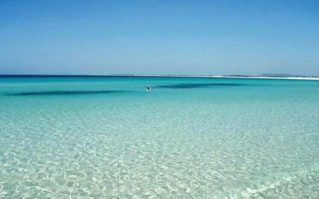 Vista Incrivel Praia Grande