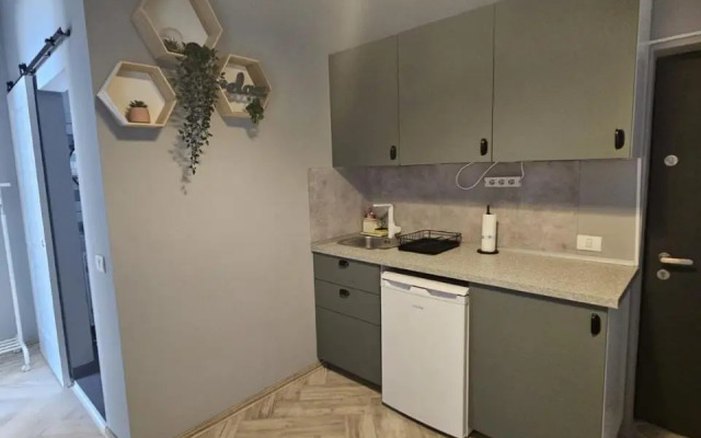 ZIG ZAG apartment 4- Old Town