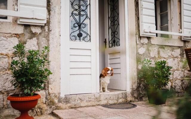 White Shutters House