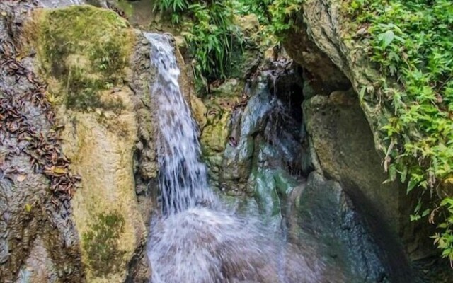 The Hamilton's Nature Villa