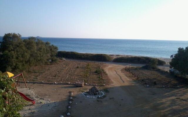 Acti Plaka