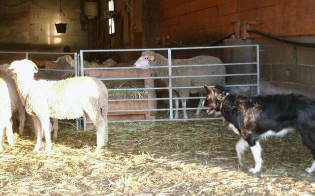 Gites a la Ferme Dela Le Var