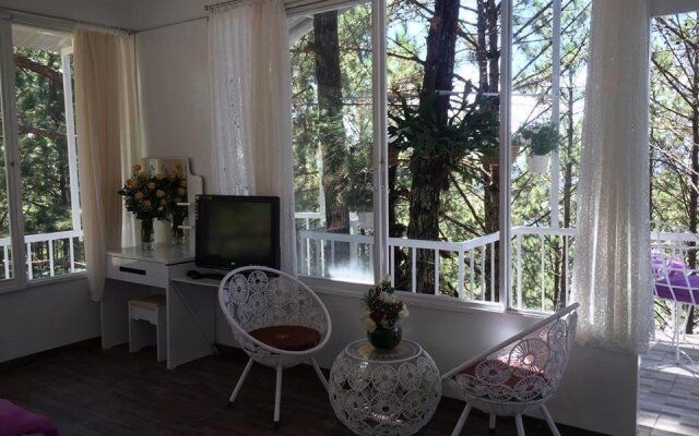 Pine Hill Homestay Dalat