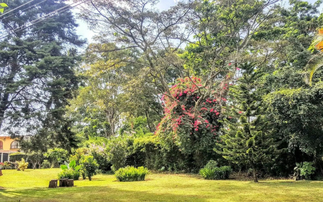 The Garden CR