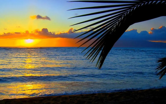 Maui Tranquility II