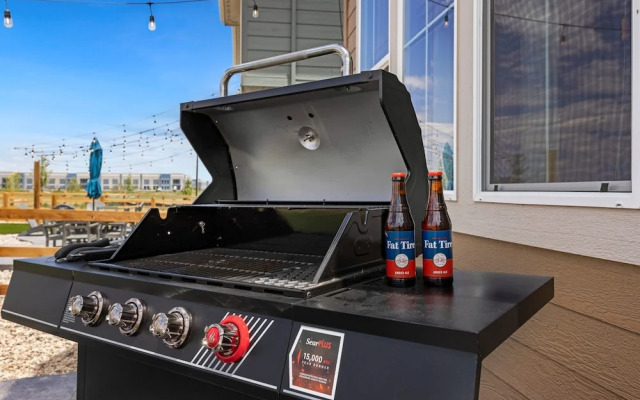 New Build W/ Great Backyard & Lake Access!