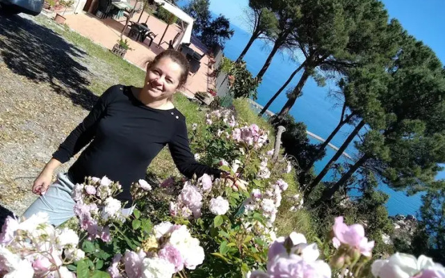 Alba Tra I Pini B&B