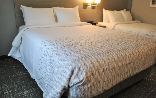 Best Western Plymouth Inn-White Mountains