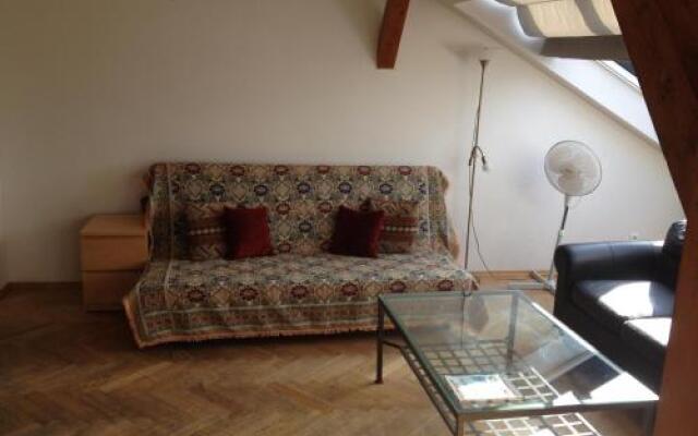 Penthouse Apartment in Vinohrady
